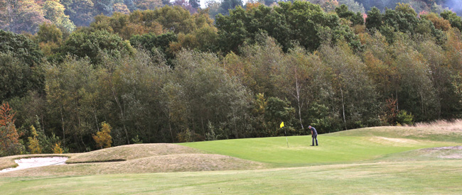 Horsehay Village 2nd Green